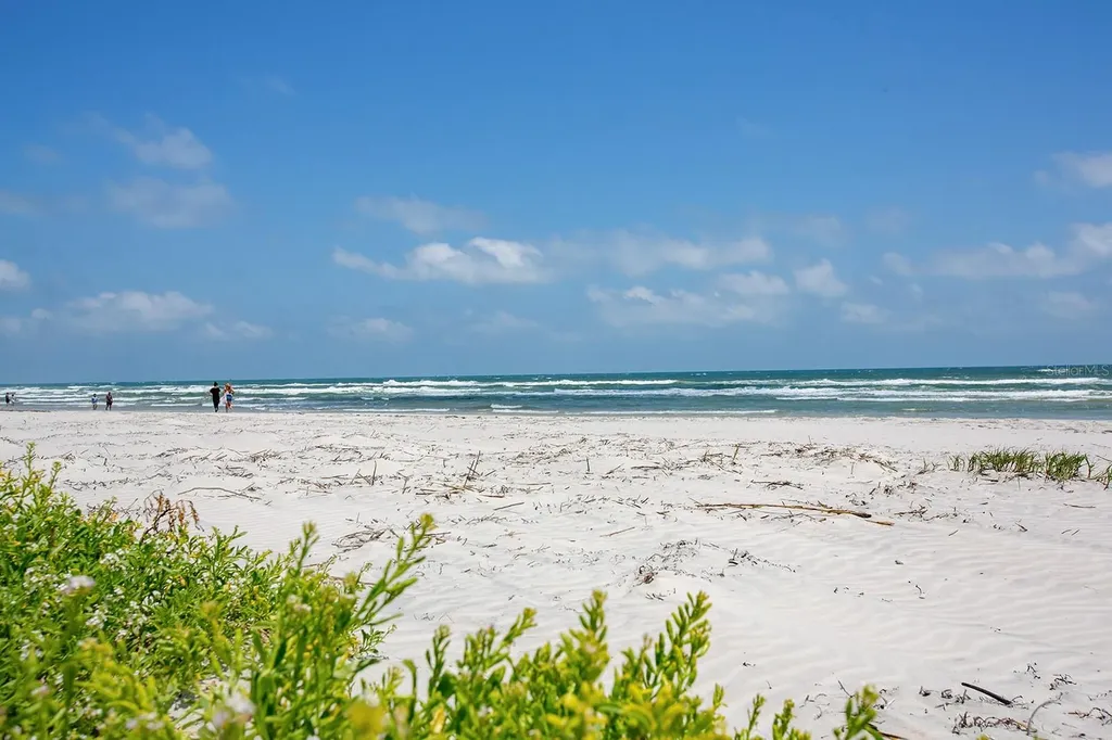 265 Minorca Beach Way New Smyrna Beach FL 32169