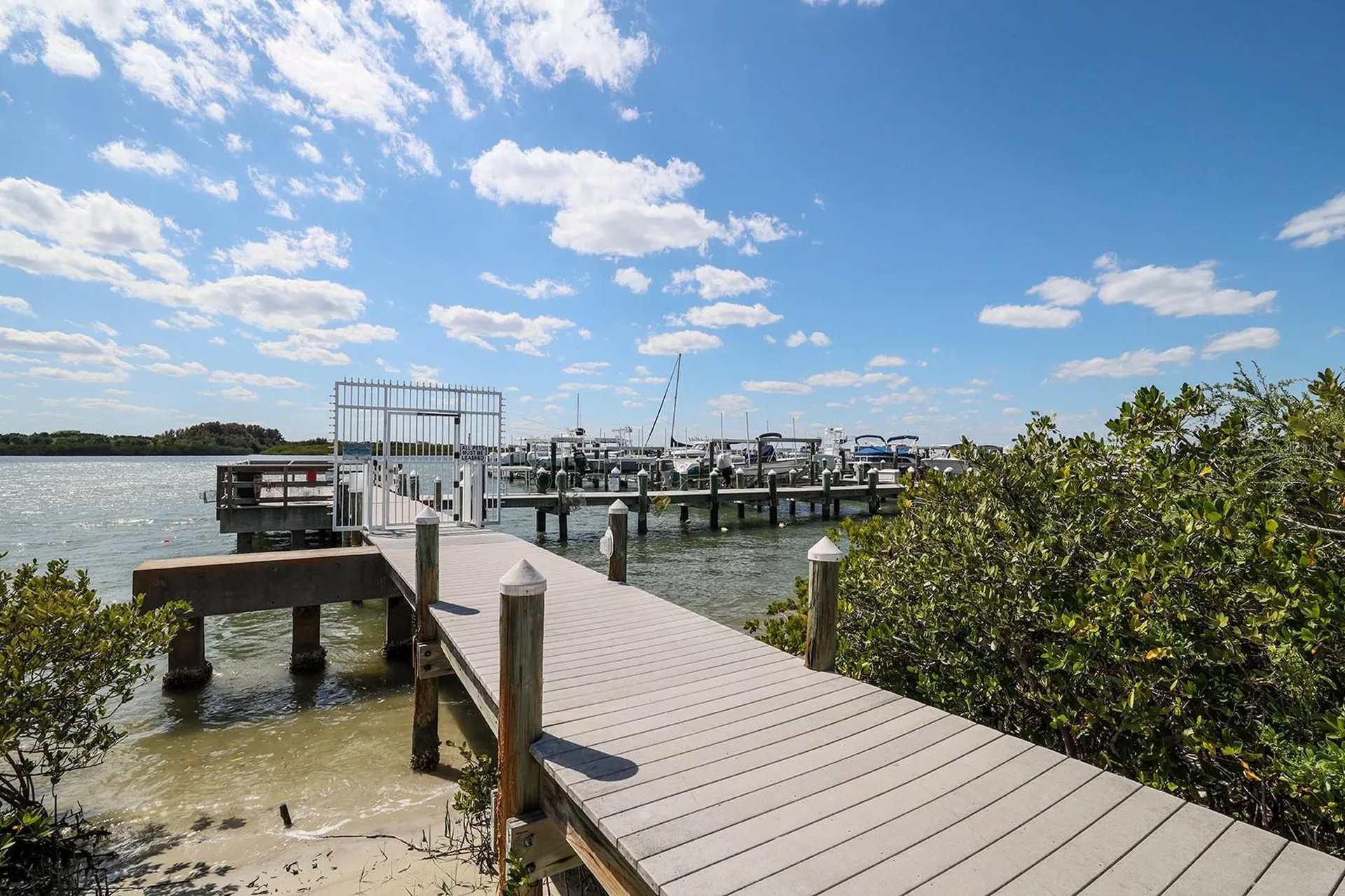 265 Minorca Beach Way New Smyrna Beach FL 32169