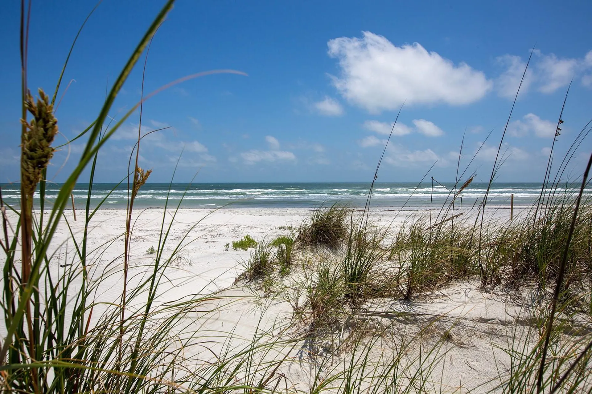 265 Minorca Beach Way New Smyrna Beach FL 32169