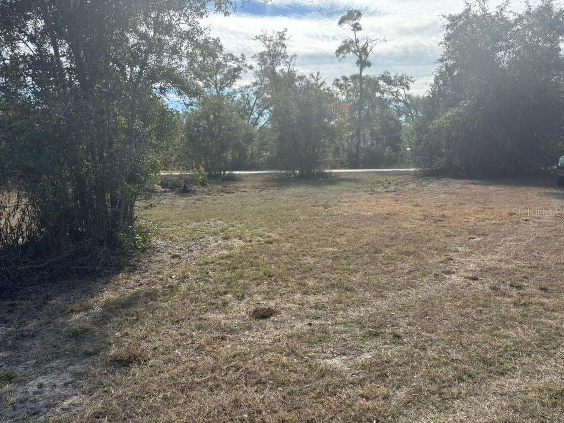 343 NE 884th Avenue Old Town FL 32680