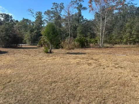 343 NE 884th Avenue Old Town FL 32680