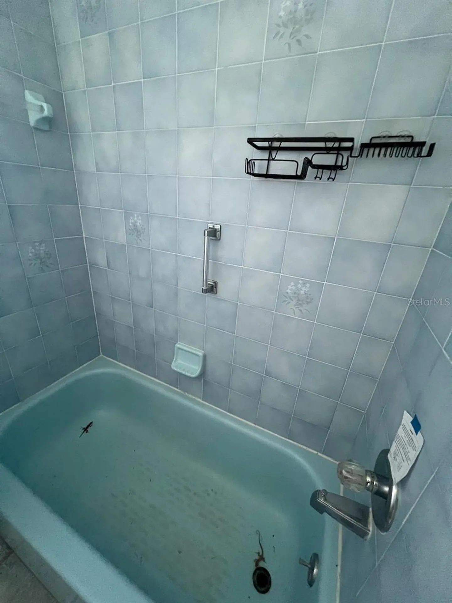 2024 Lime Tree Drive Edgewater FL 32141