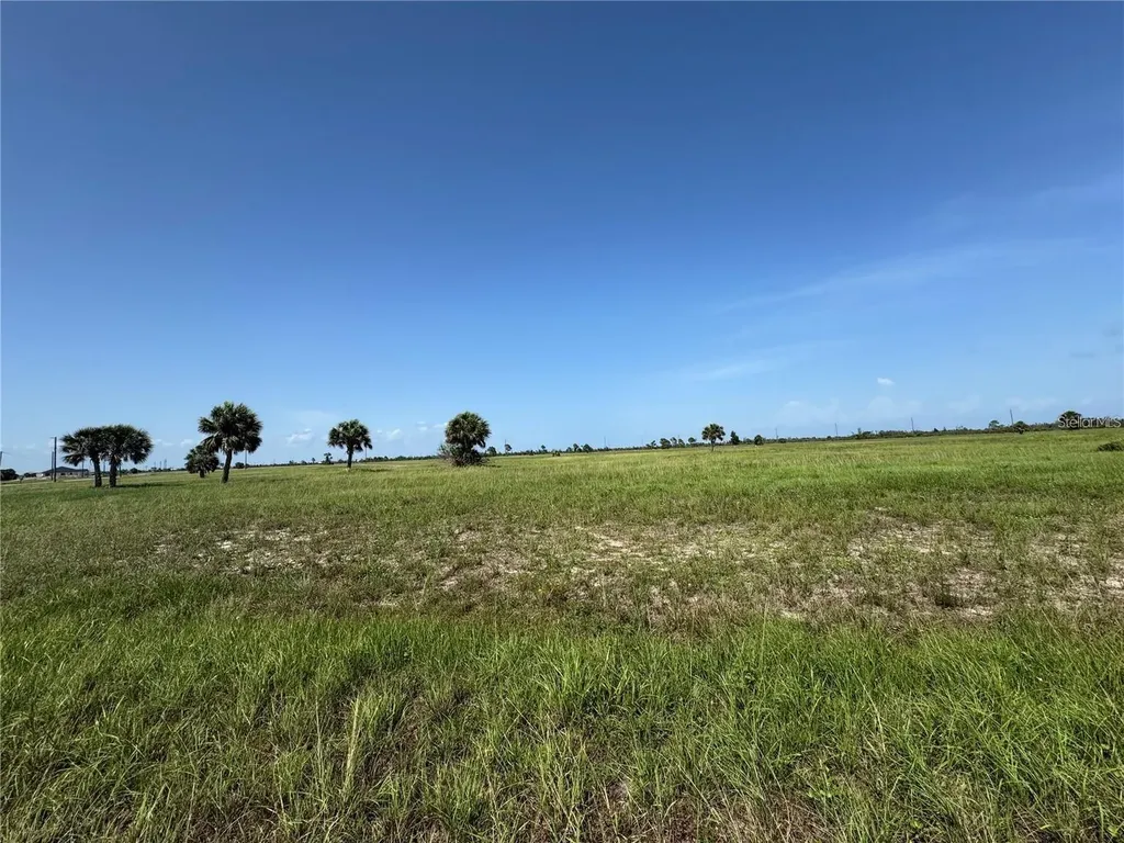 55 Begonia Drive Placida FL 33946