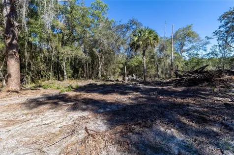 815 NE 145th Avenue Road Silver Springs FL 34488