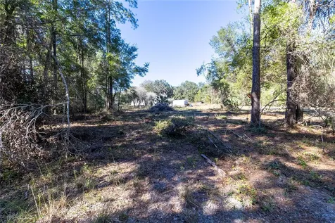 815 NE 145th Avenue Road Silver Springs FL 34488