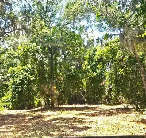 4300 NE 175th Street Road Citra FL 32113