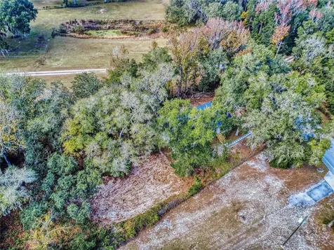 4300 NE 175th Street Road Citra FL 32113