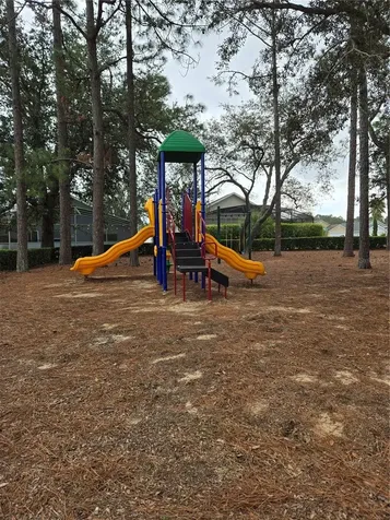 1128 Pinedale Drive Davenport FL 33897