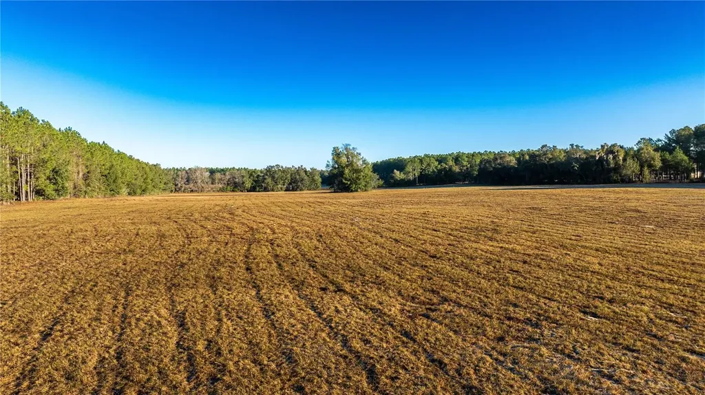 00 NW 180th Street Williston FL 32696