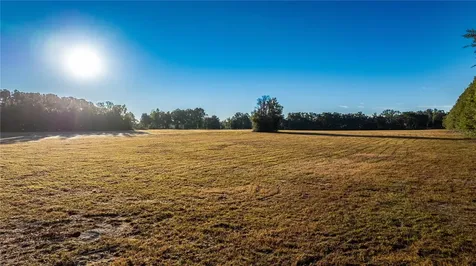 00 NW 180th Street Williston FL 32696