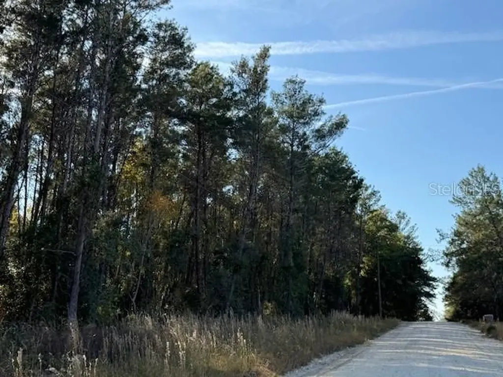 791 SE 142 Avenue Williston FL 32696