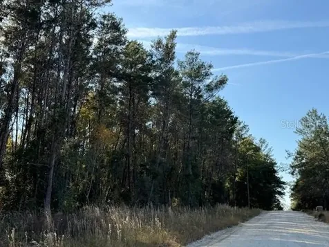 791 SE 142 Avenue Williston FL 32696