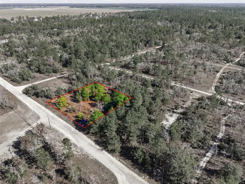 00 NE 150th Avenue Williston FL 32696
