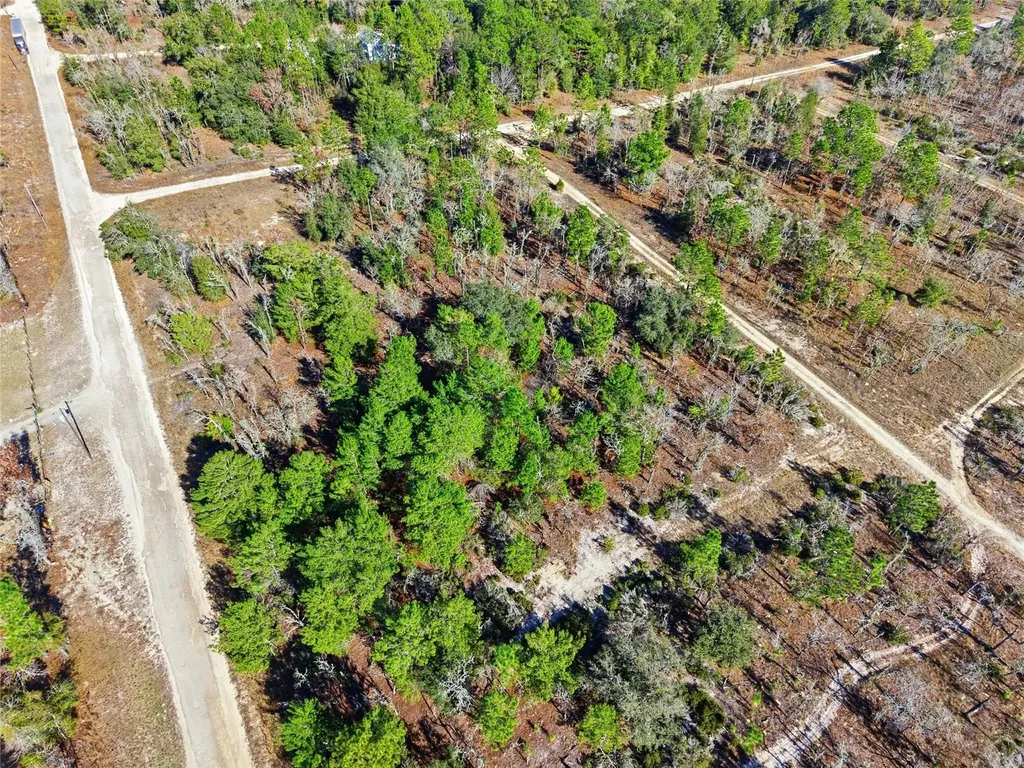 00 NE 150th Avenue Williston FL 32696