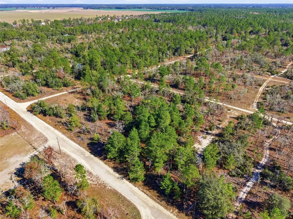 00 NE 150th Avenue Williston FL 32696