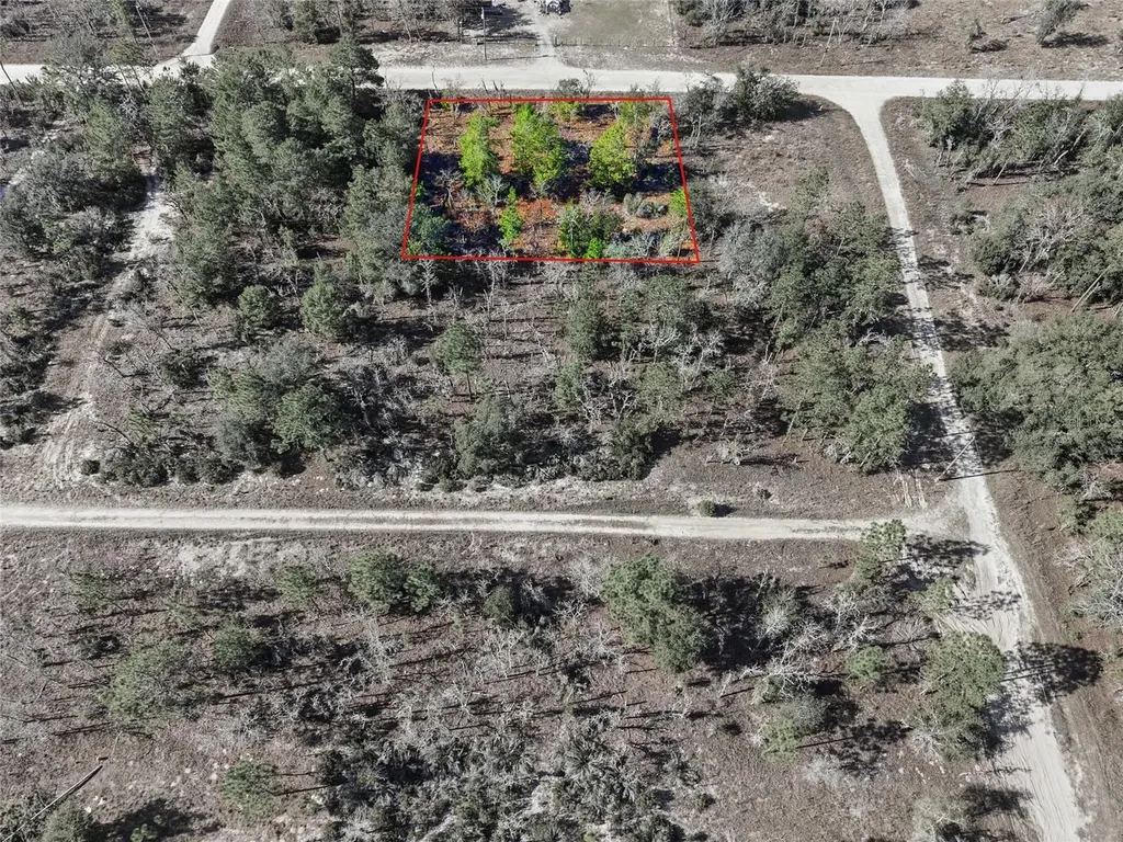00 NE 150th Avenue Williston FL 32696