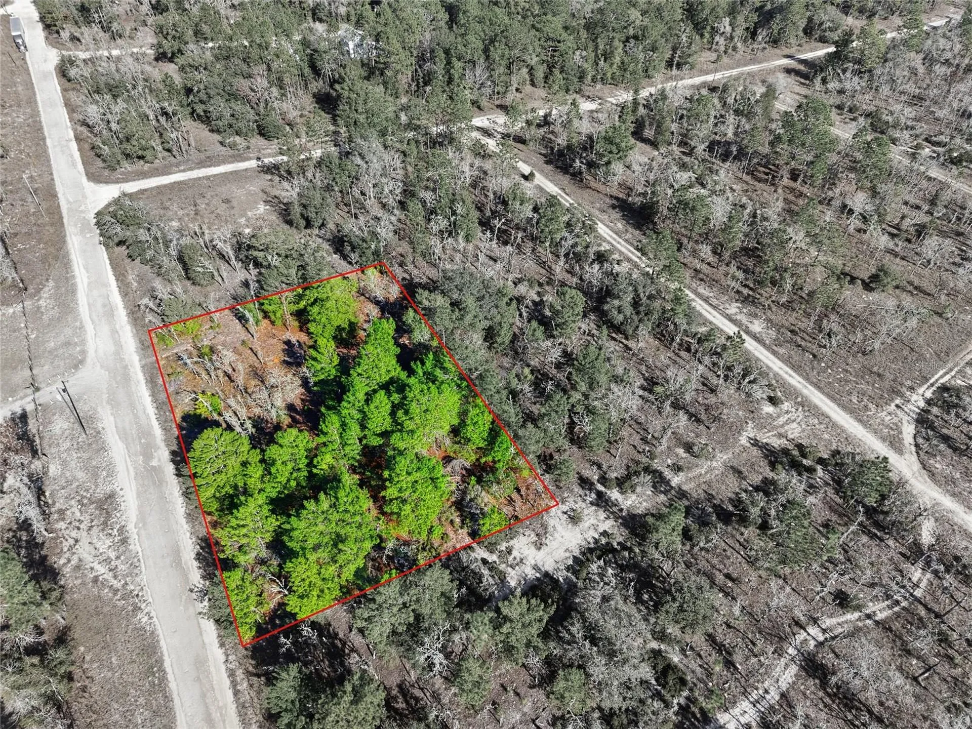 00 NE 150th Avenue Williston FL 32696
