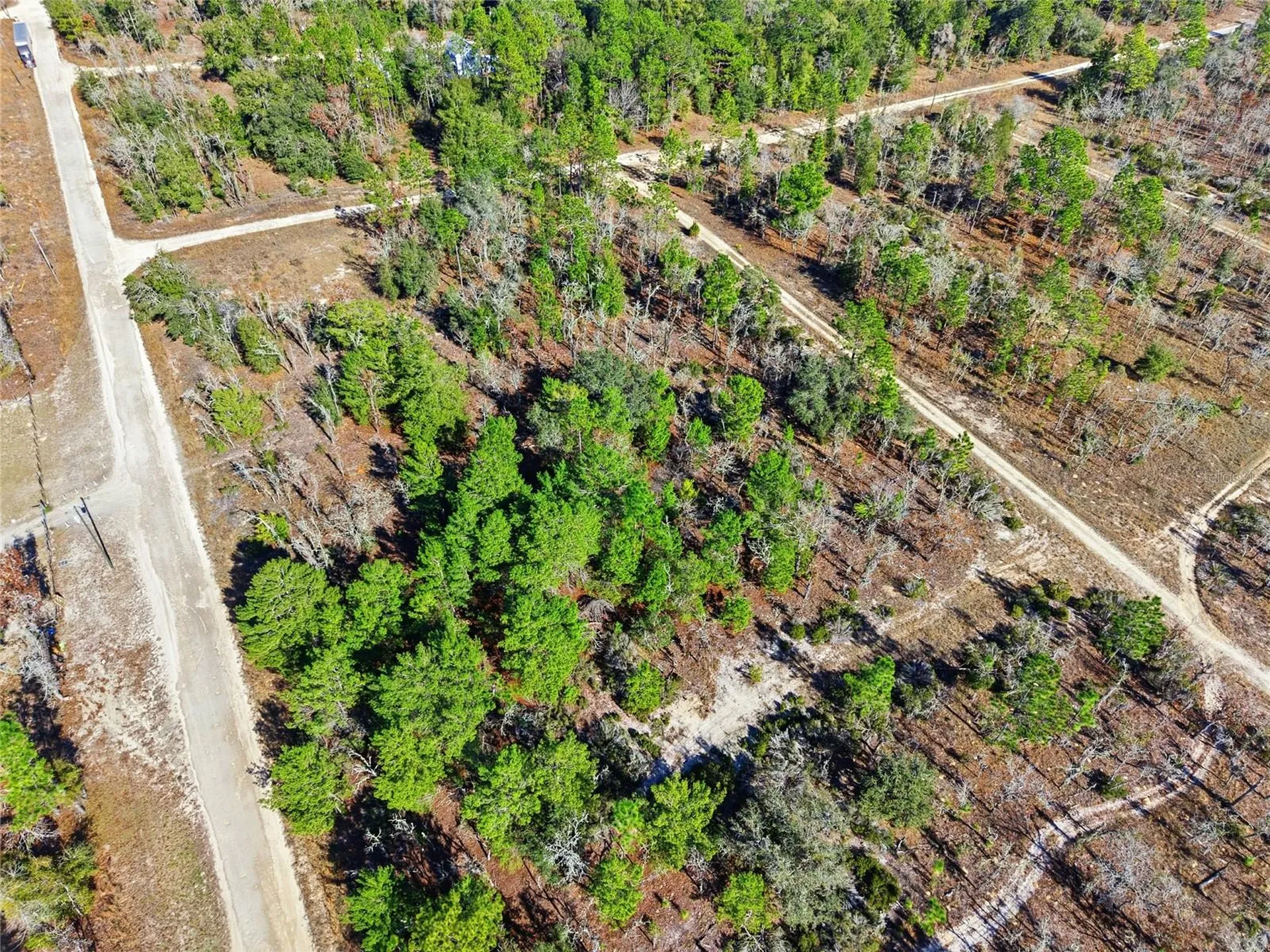 00 NE 150th Avenue Williston FL 32696