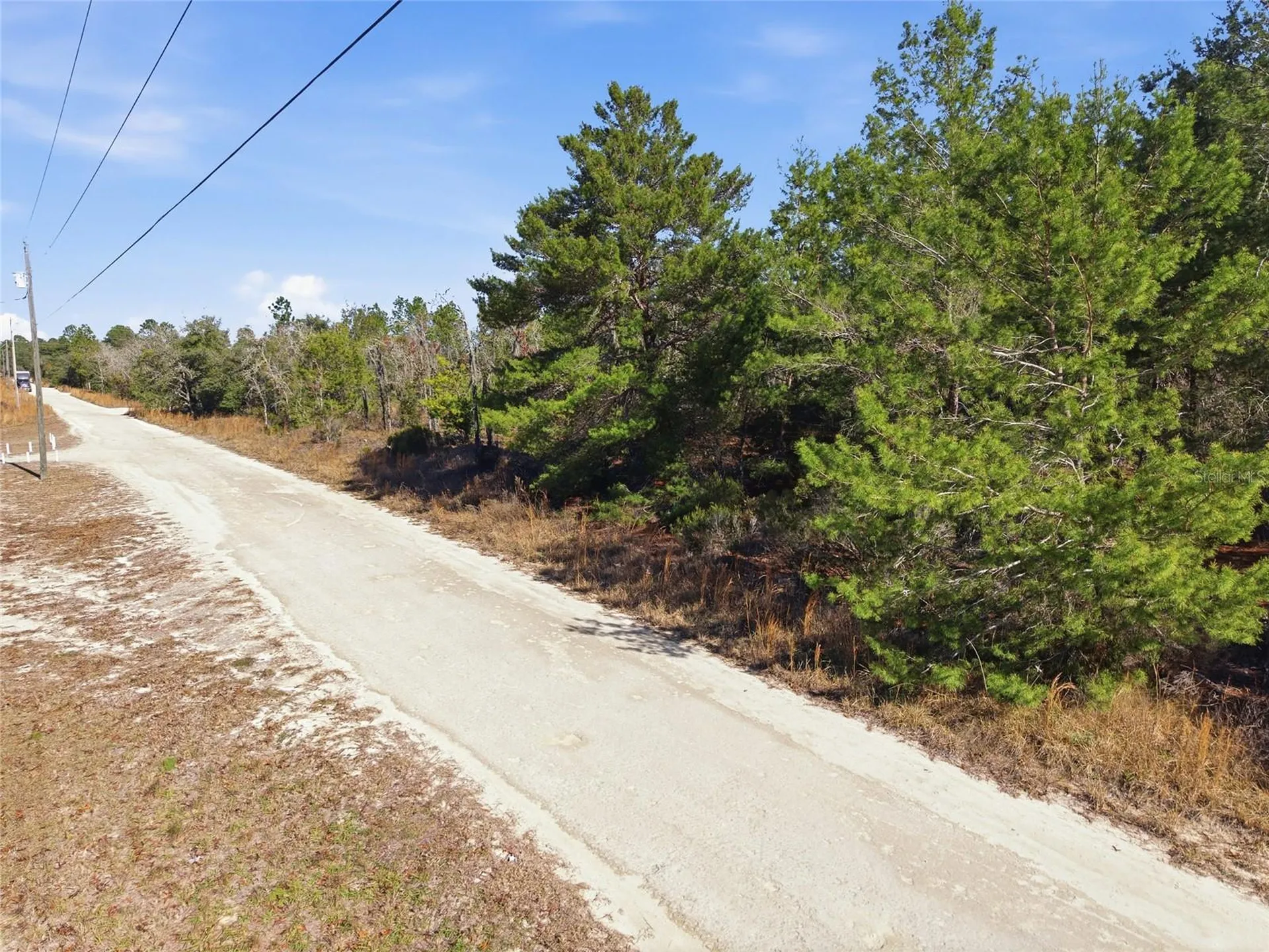 00 NE 150th Avenue Williston FL 32696
