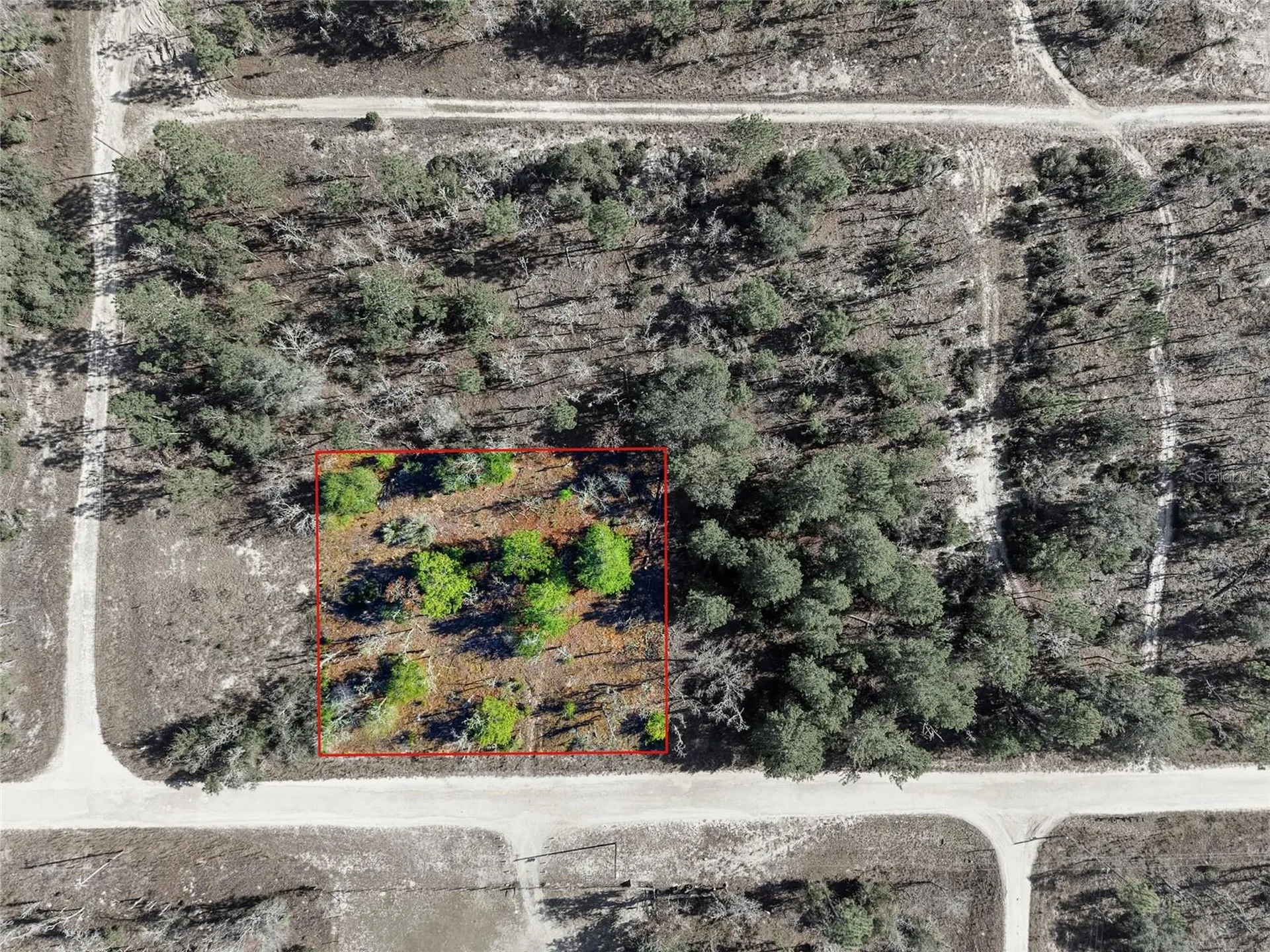 00 NE 150th Avenue Williston FL 32696