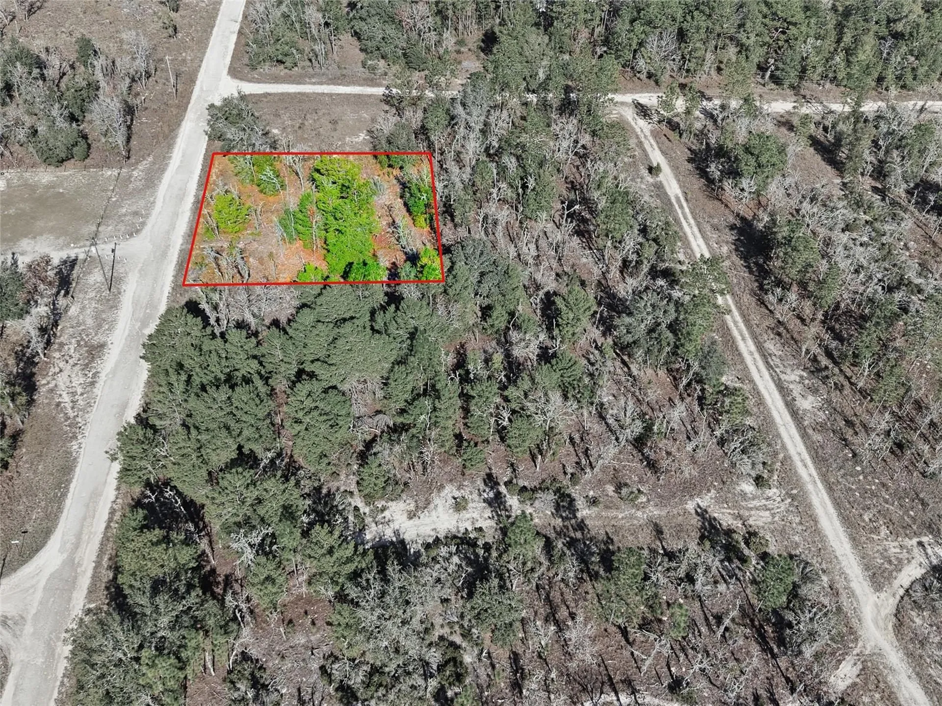 00 NE 150th Avenue Williston FL 32696