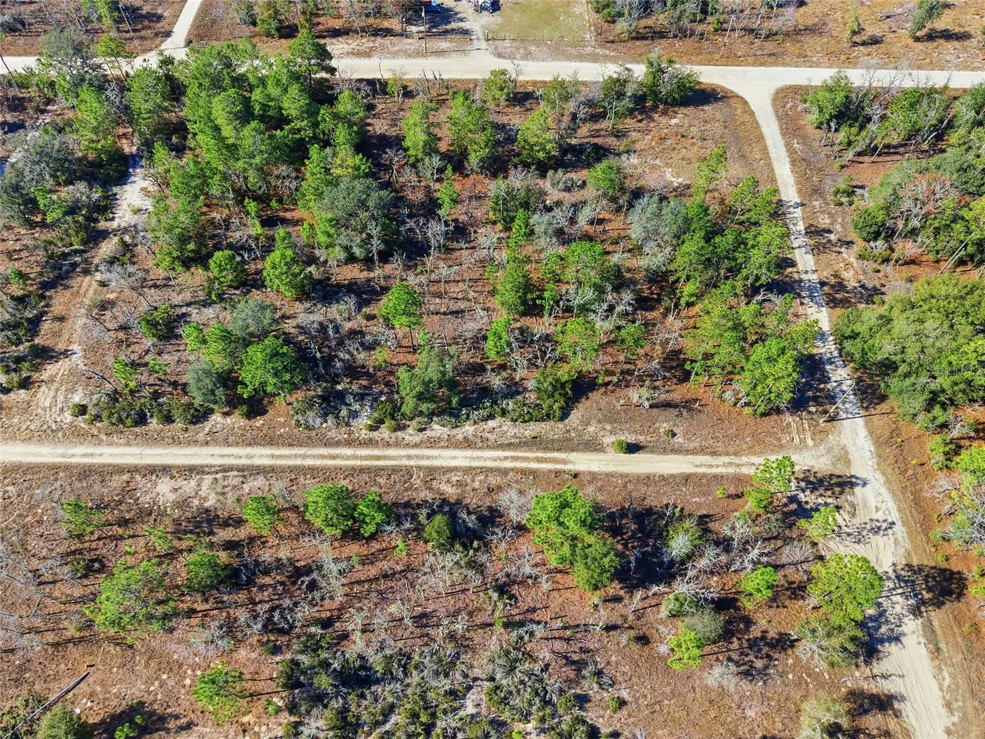 00 NE 150th Avenue Williston FL 32696