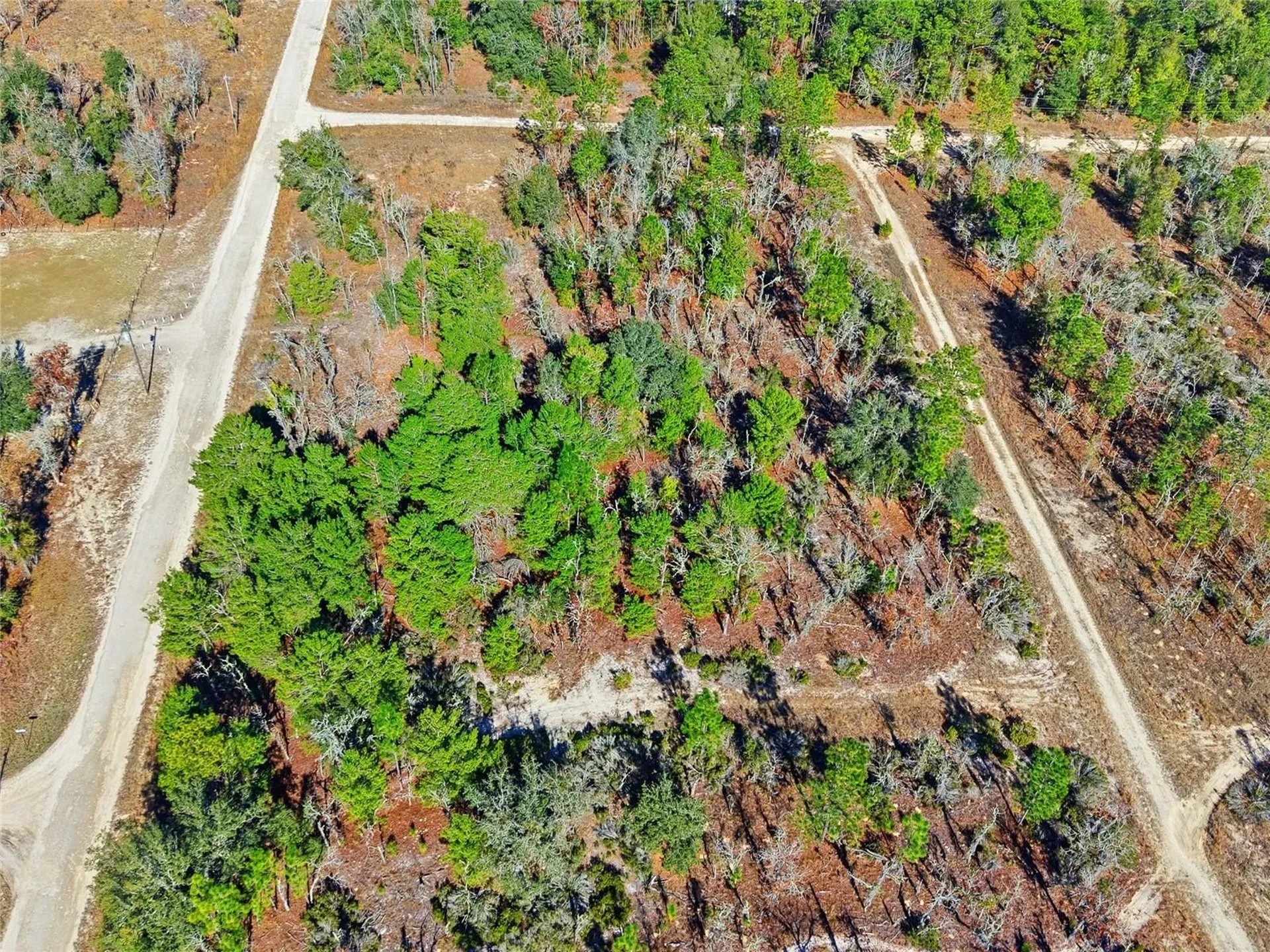 00 NE 150th Avenue Williston FL 32696