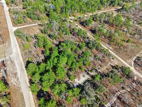 00 NE 150th Avenue Williston FL 32696