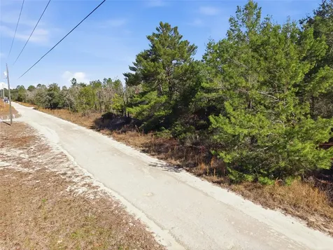 00 NE 150th Avenue Williston FL 32696