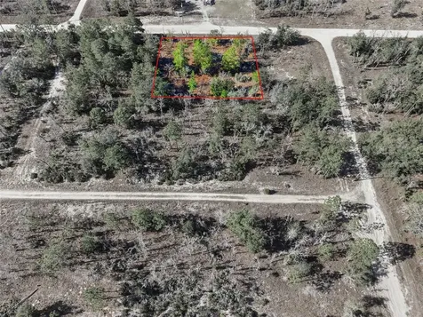 00 NE 150th Avenue Williston FL 32696