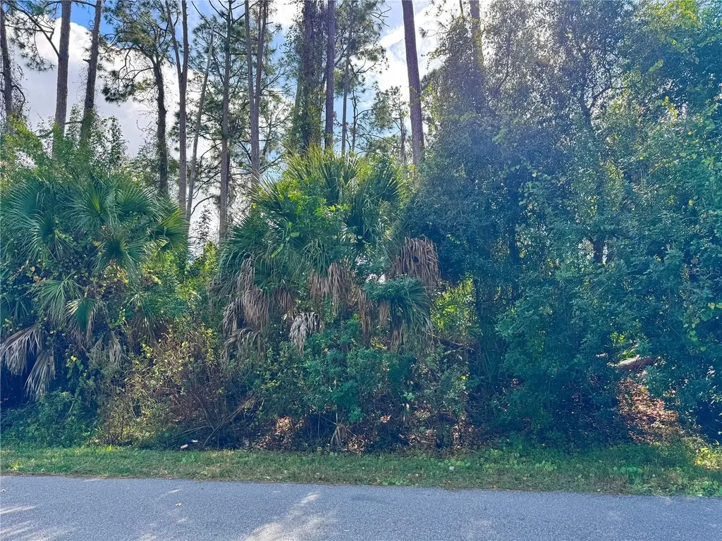 Tishman Avenue North Port FL 34286