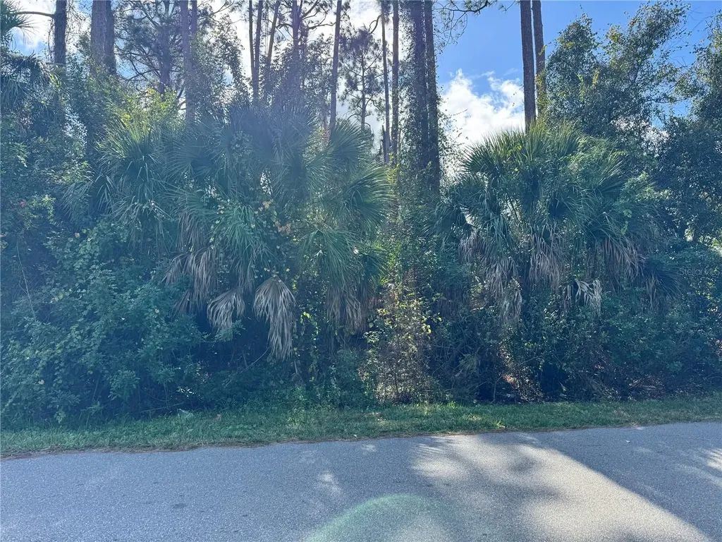Tishman Avenue North Port FL 34286