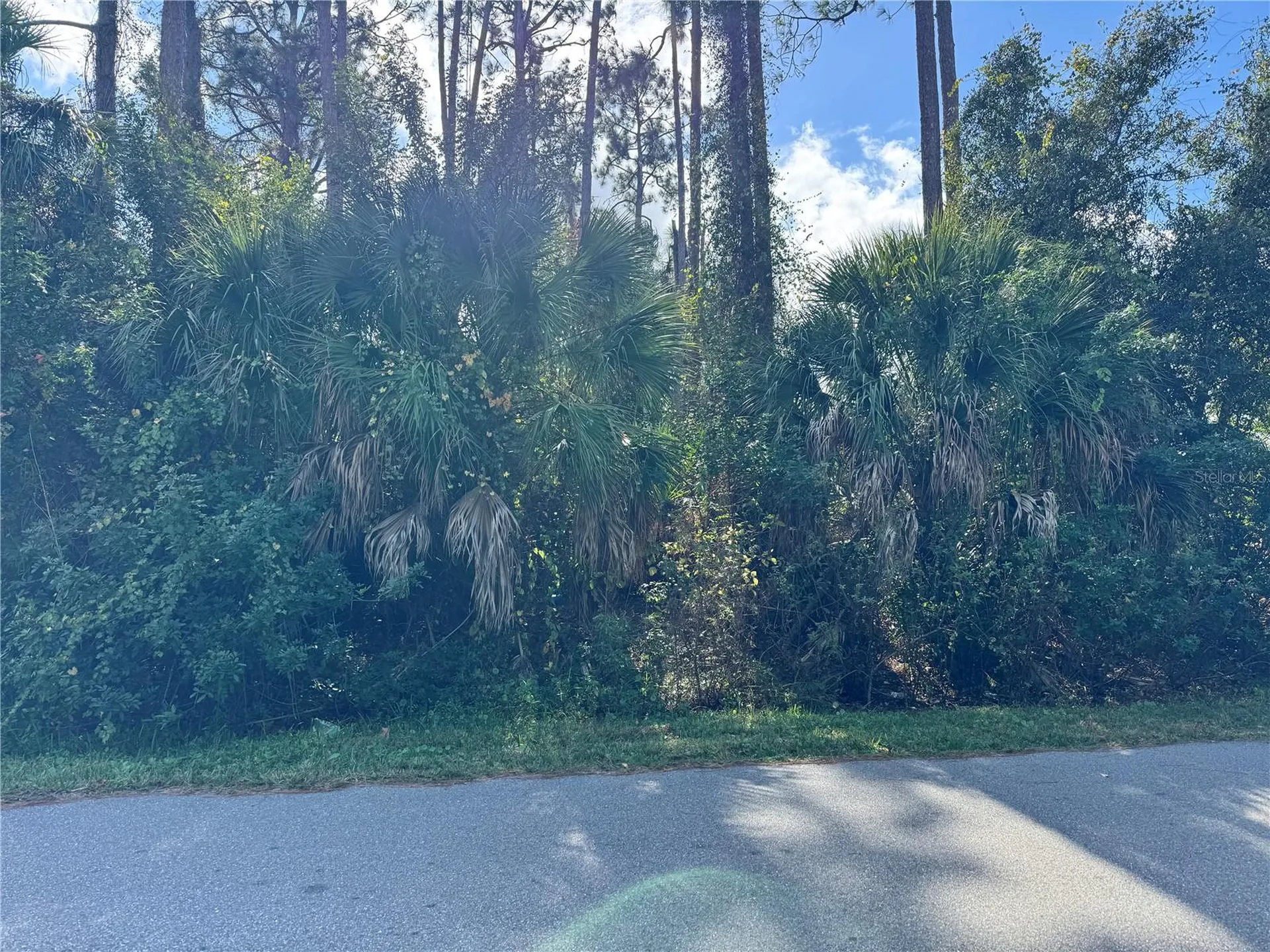 Tishman Avenue North Port FL 34286