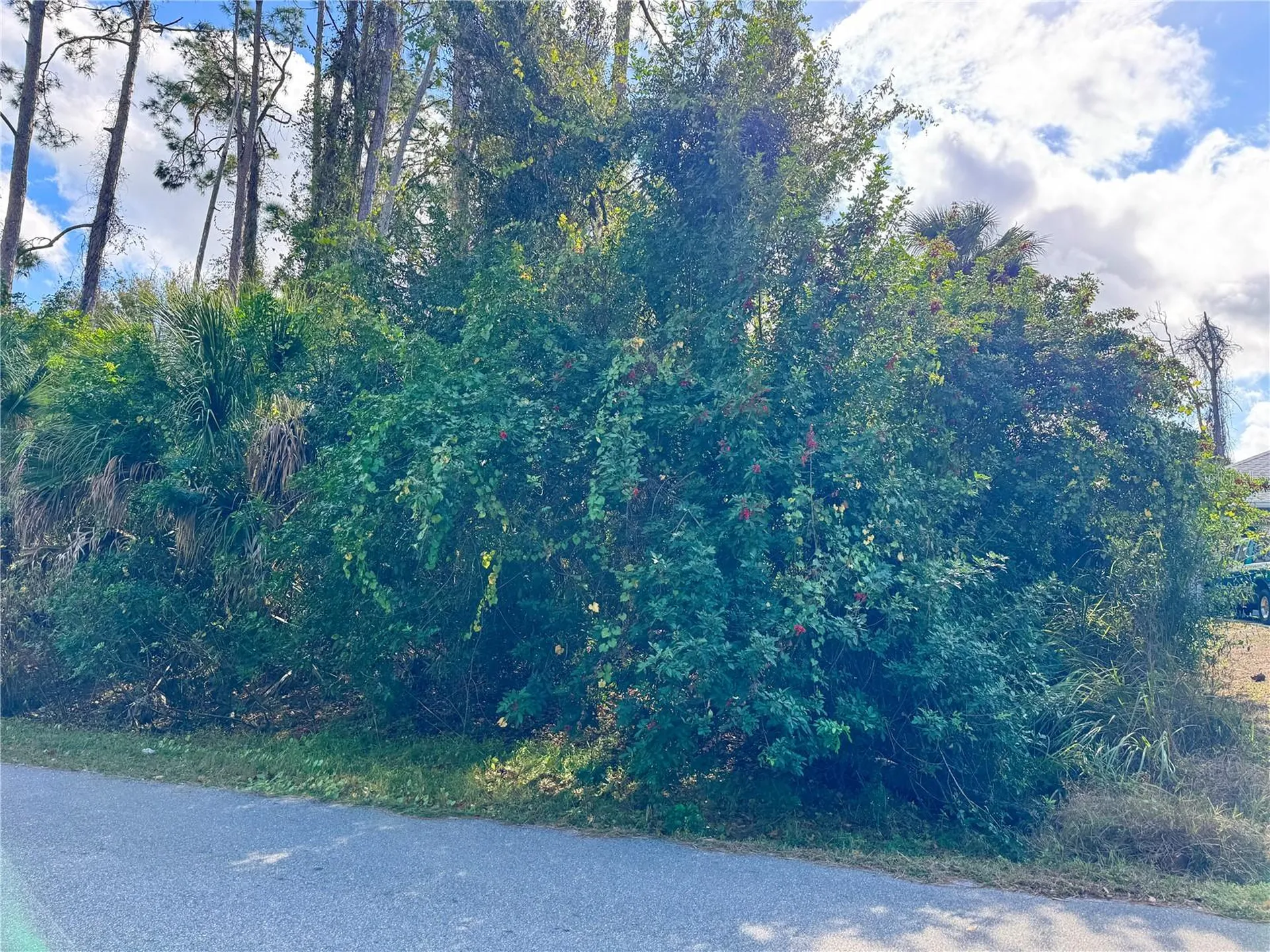 Tishman Avenue North Port FL 34286