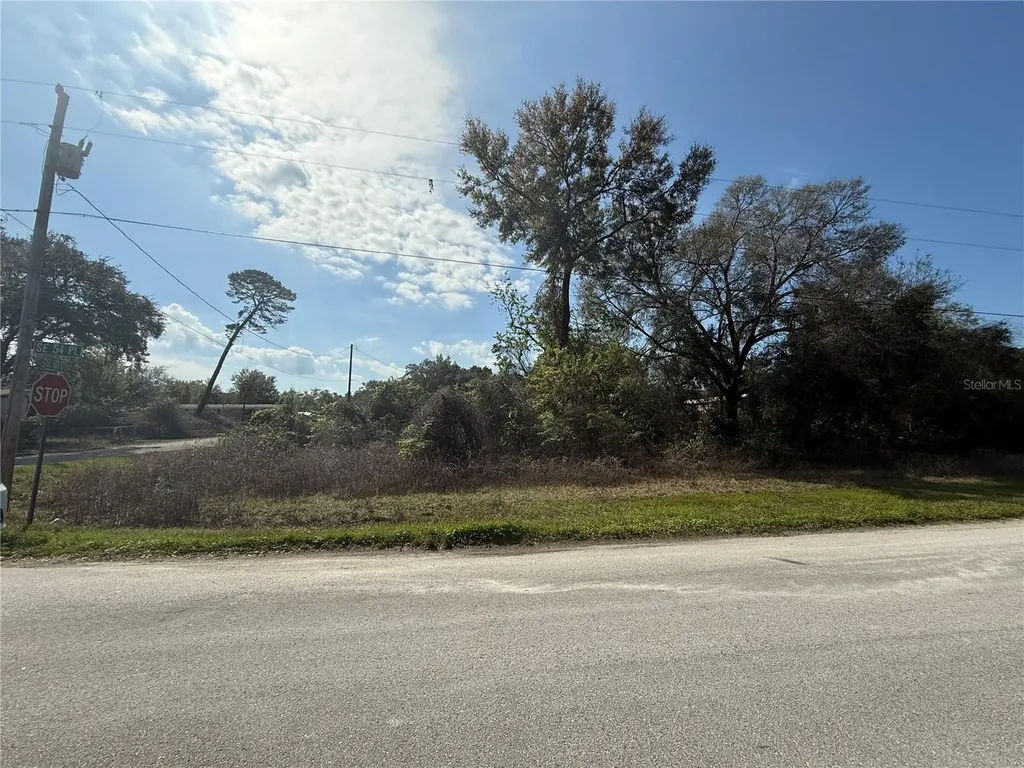 5510 SE 183rd Court Ocklawaha FL 32179