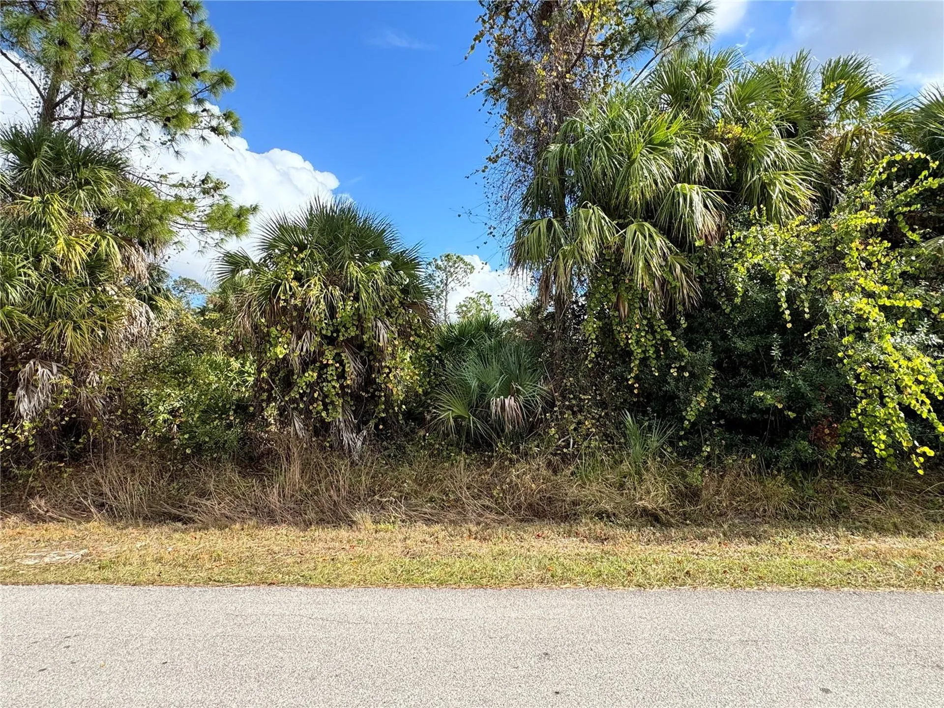 Sapelo Avenue North Port FL 34286