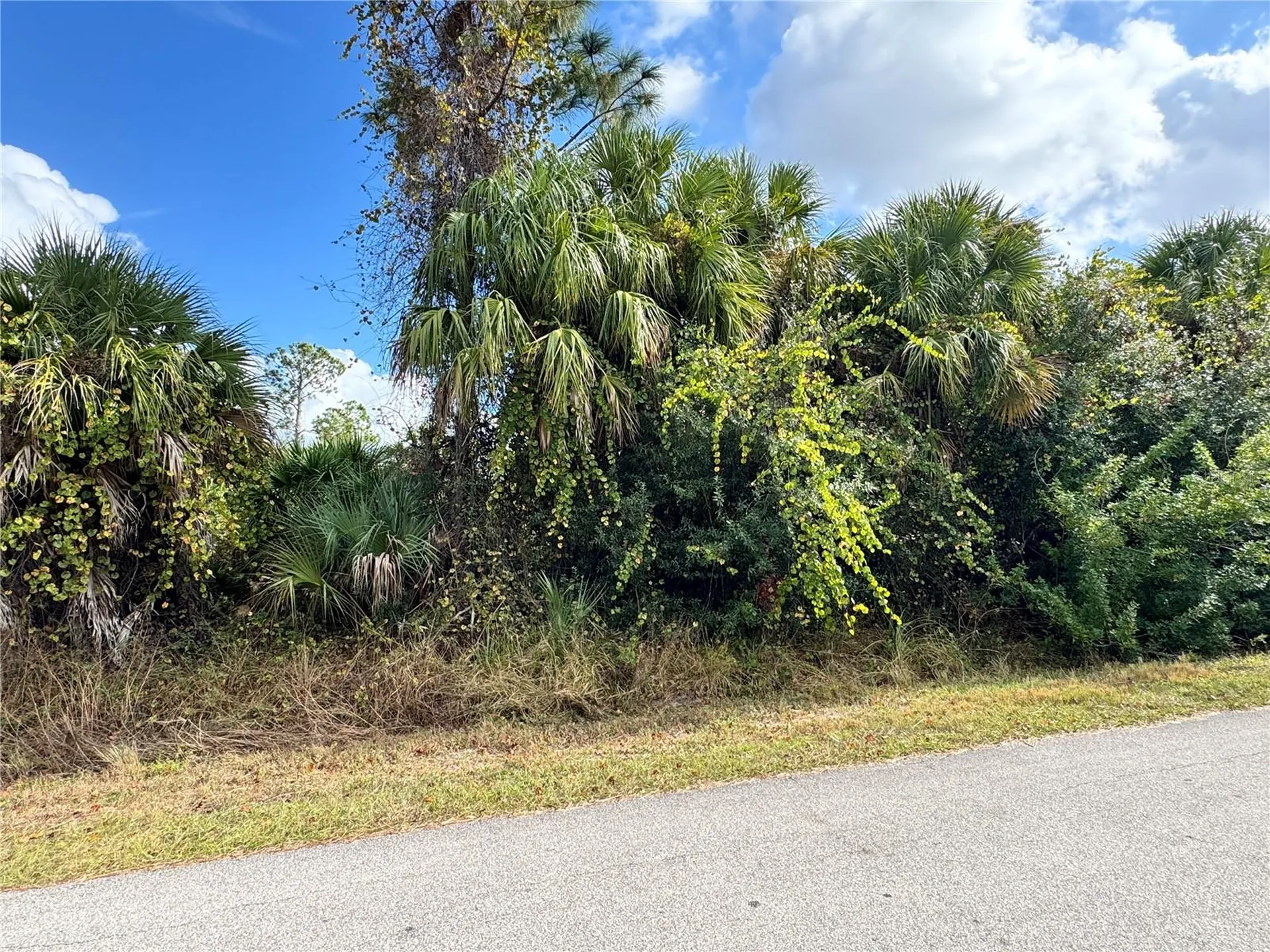 Sapelo Avenue North Port FL 34286