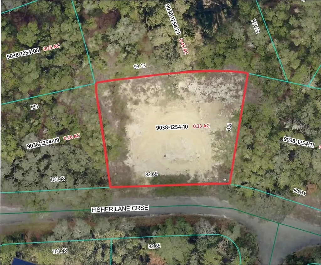 5 Fisher Lane Course Ocklawaha FL 32179