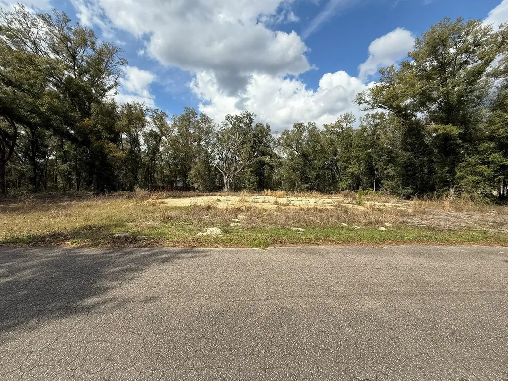 5 Fisher Lane Course Ocklawaha FL 32179