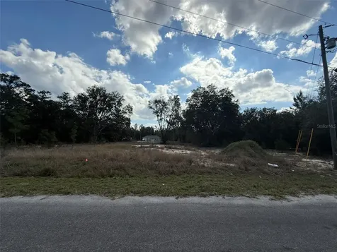 26 Fisher Way Trail Ocklawaha FL 32179