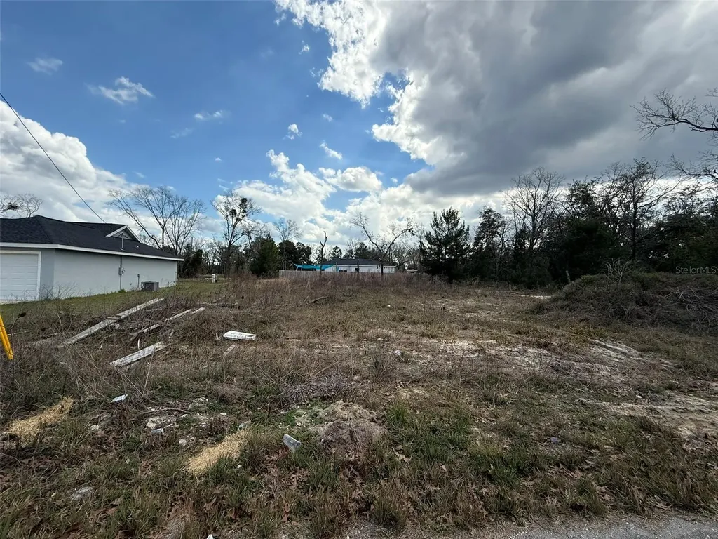41 Fisher Lane Track Ocklawaha FL 32179