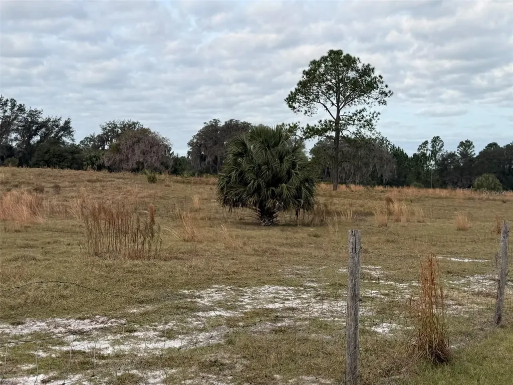 29605 Fullerville Road Deland FL 32720