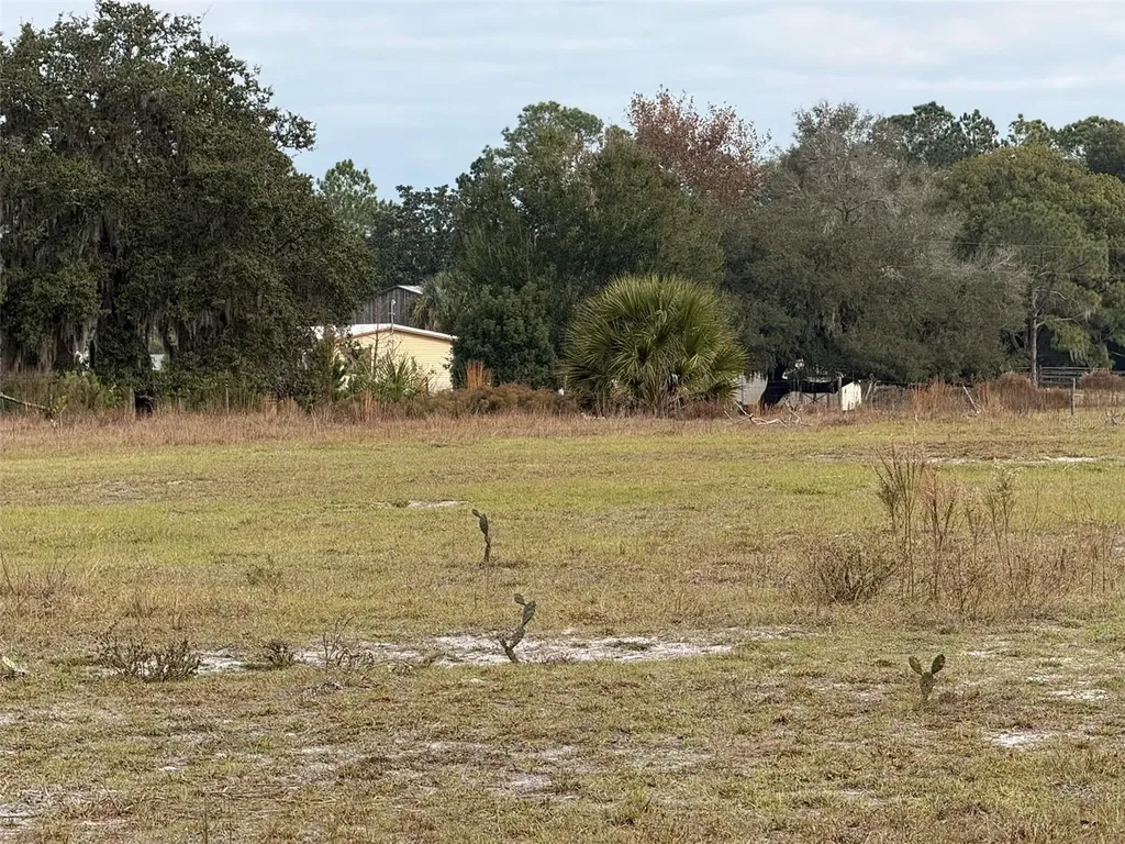 29605 Fullerville Road Deland FL 32720