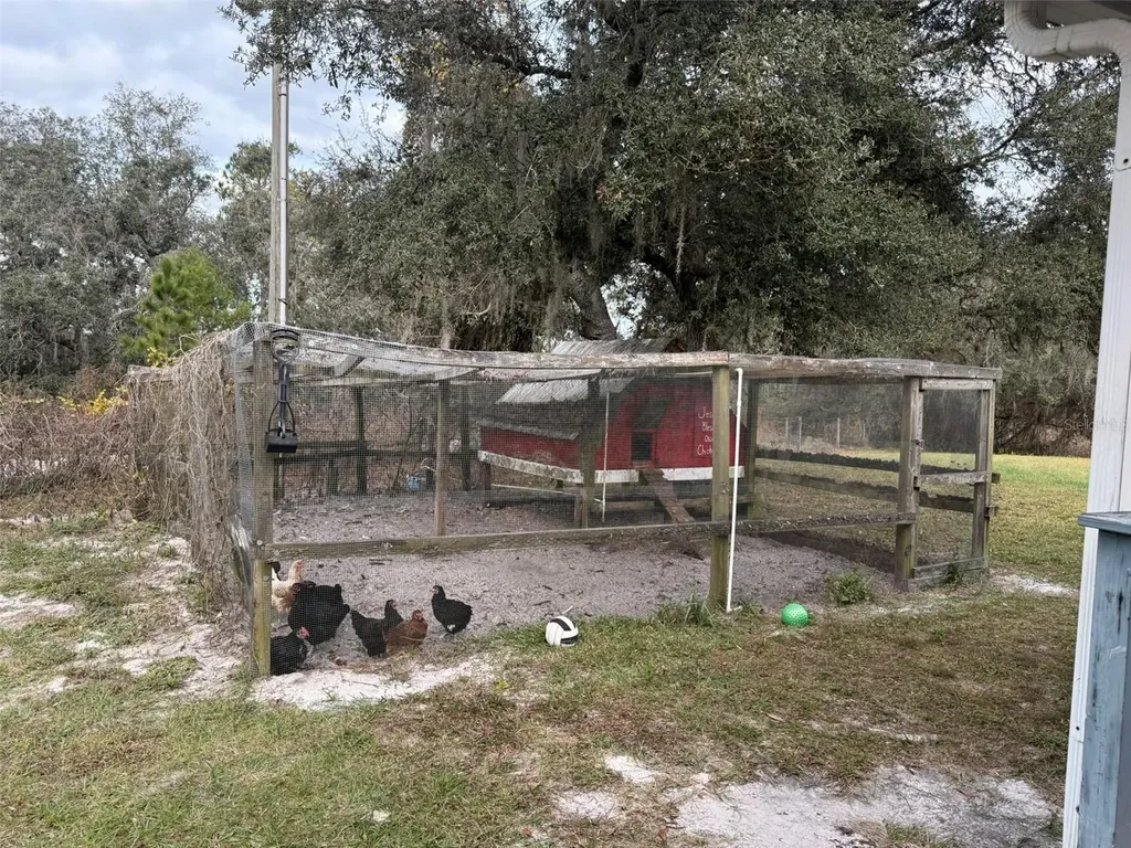 29605 Fullerville Road Deland FL 32720