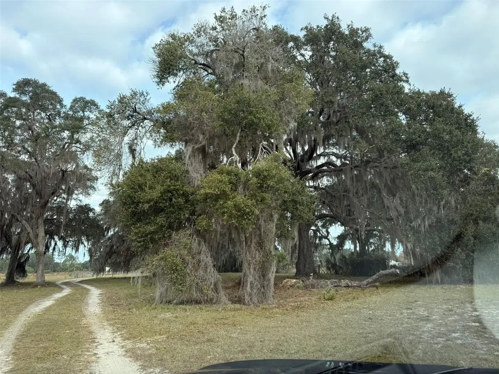 29605 Fullerville Road Deland FL 32720