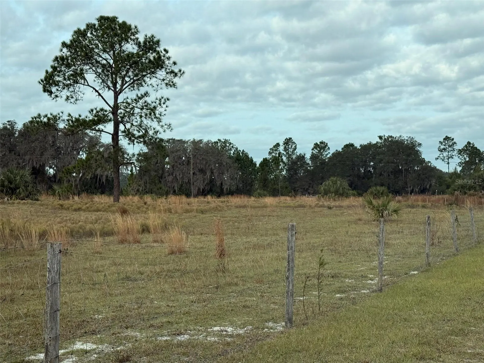 29605 Fullerville Road Deland FL 32720