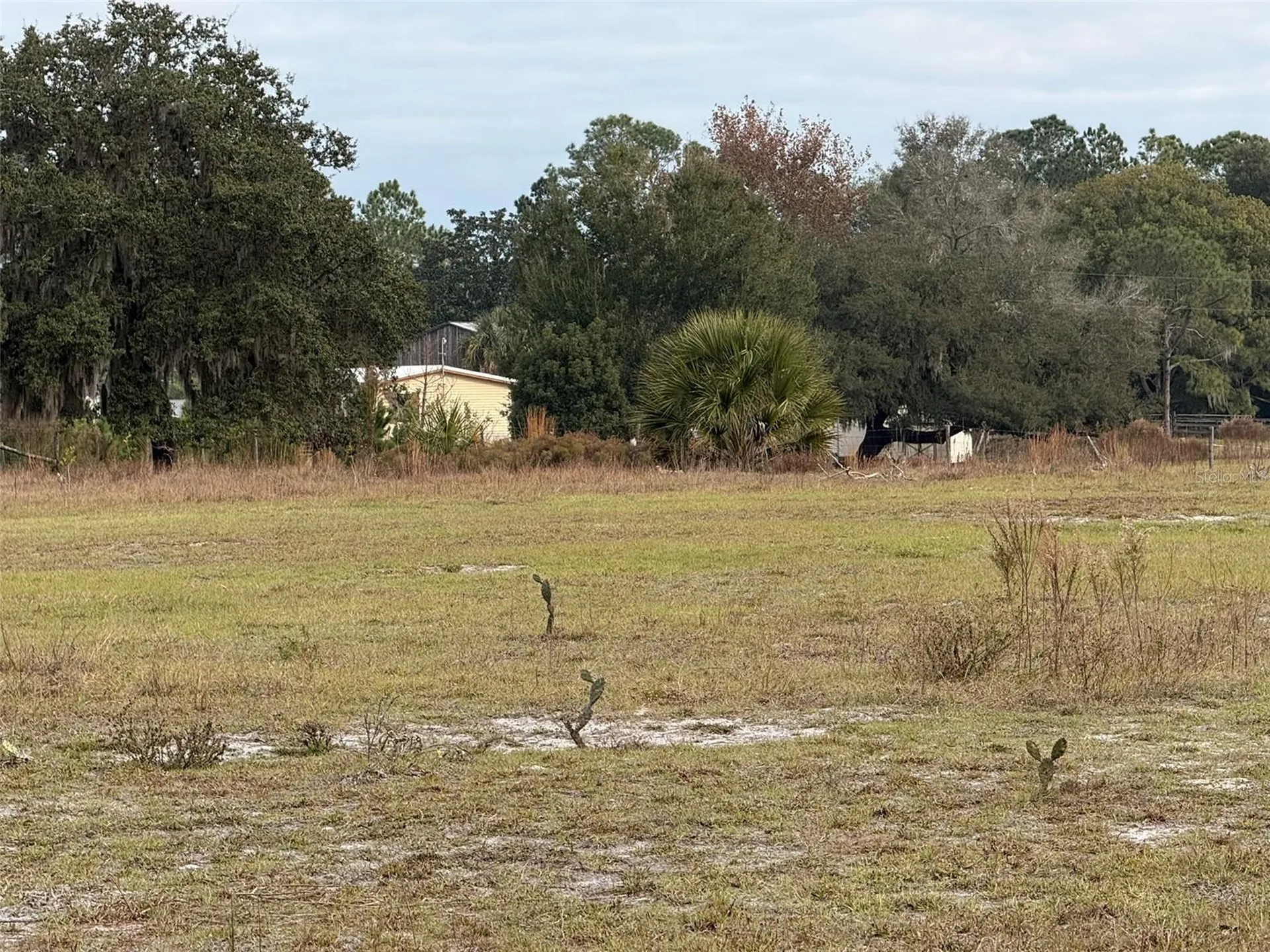 29605 Fullerville Road Deland FL 32720