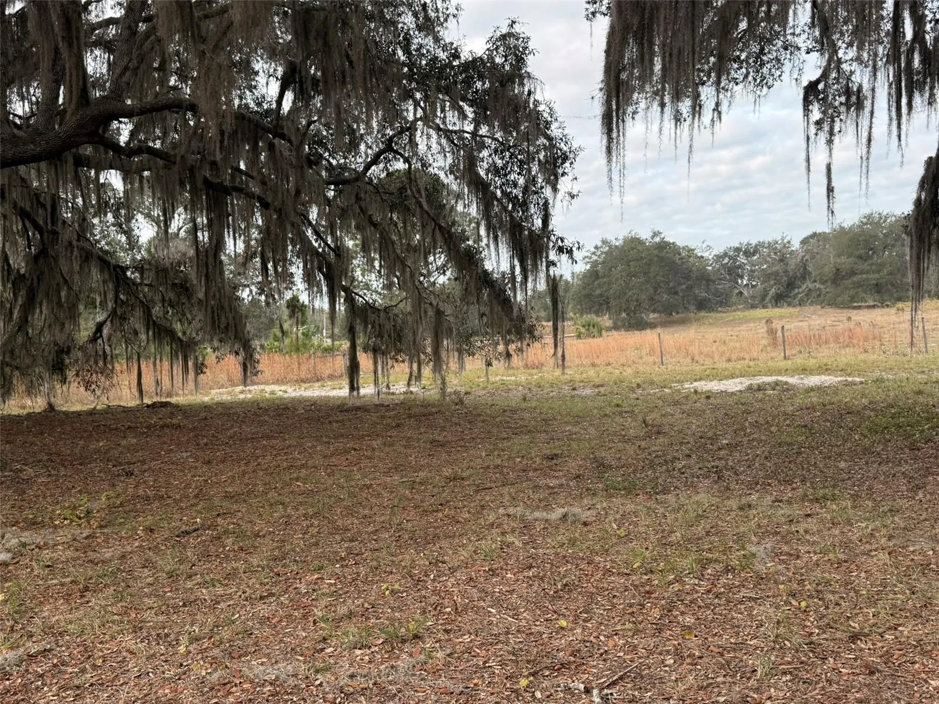 29605 Fullerville Road Deland FL 32720
