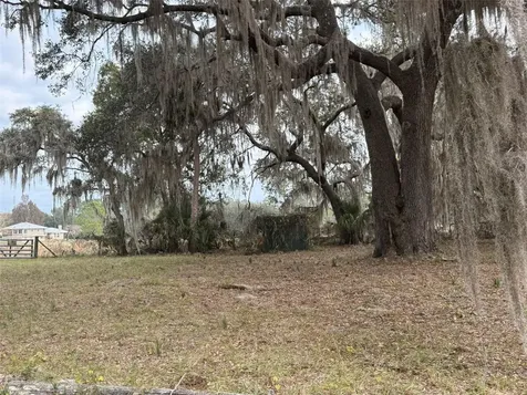 29605 Fullerville Road Deland FL 32720