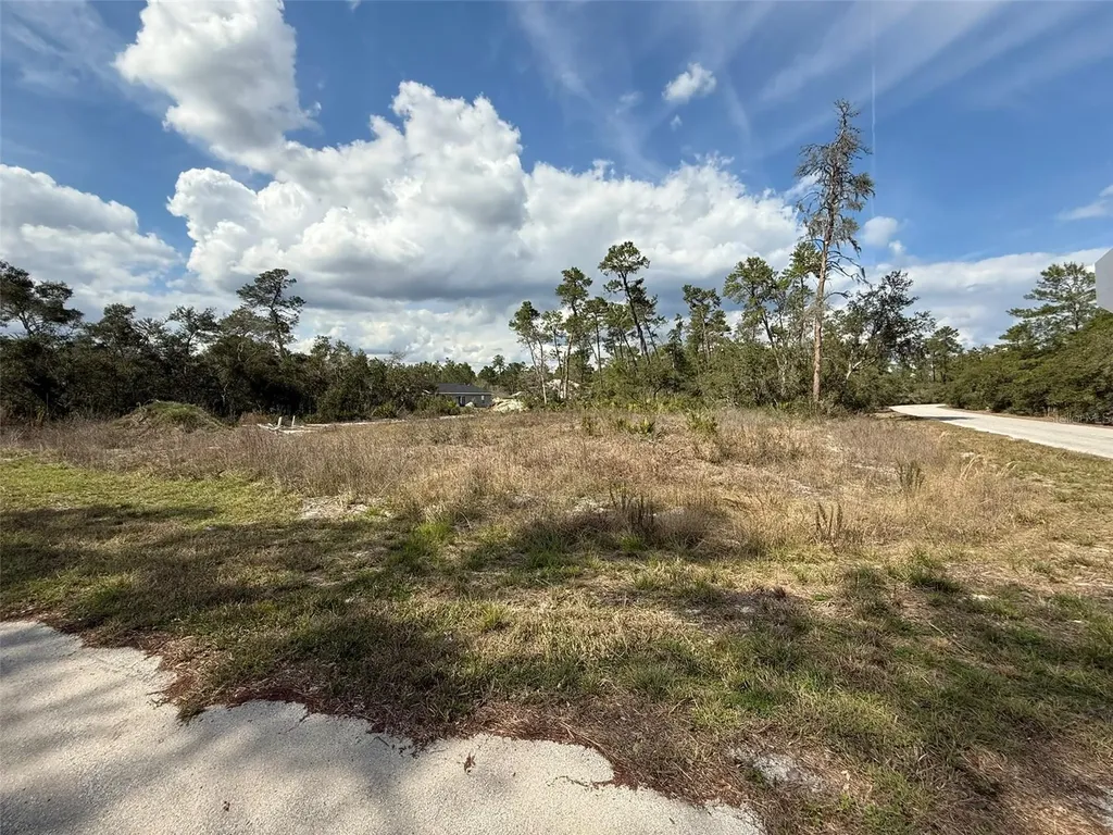 189 Fisher Court Ocklawaha FL 32179